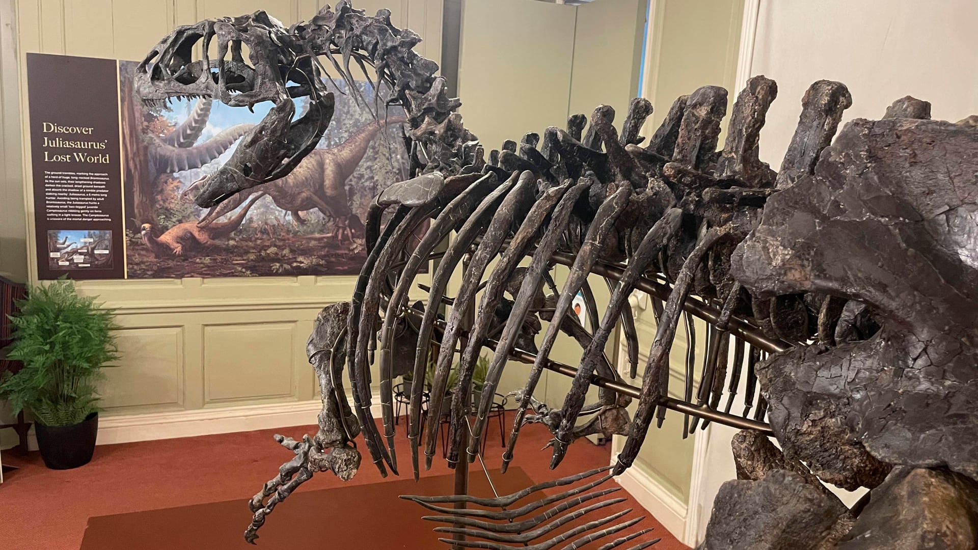 Presentación de 'Juliasaurus' una nueva especie de dinosaurio descubierta en 2020, de la que se conserva un 70-75 % del dinosaurio, este miércoles en el Hollytrees Museum de Colchester. EFE/Luis Campello.