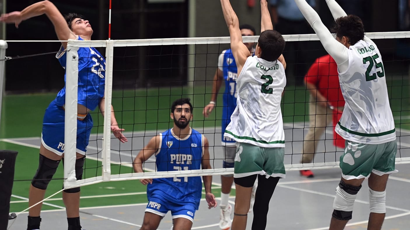 Castores de la Politécnica a finalizar su meta en el voleibol
