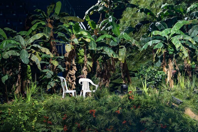 El exponente urbano celebró el segundo concierto de 30 en el Coliseo de Puerto Rico.