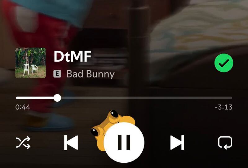 Debí tiras más fotos