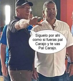 Memes primarias 2024