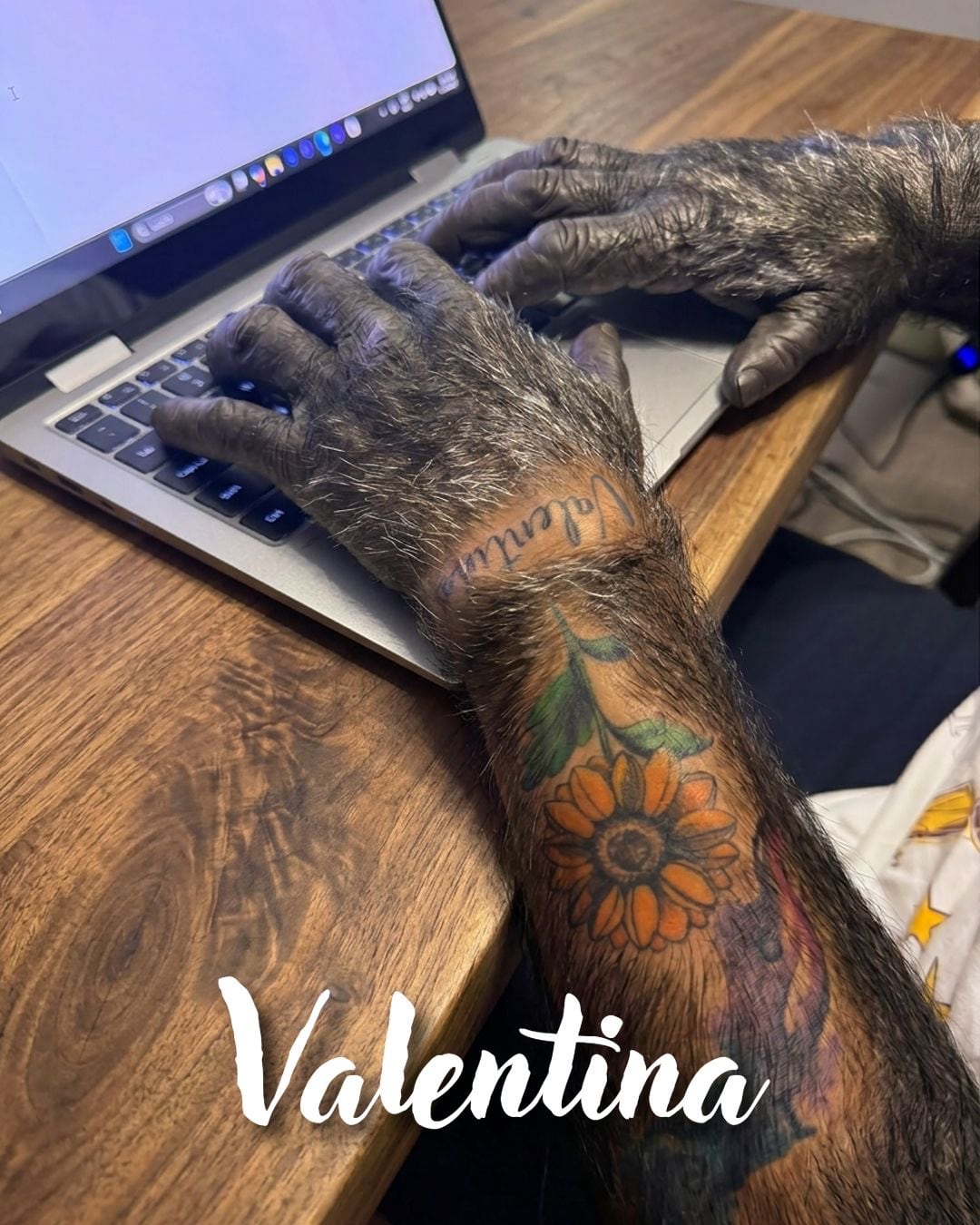 Valentina: