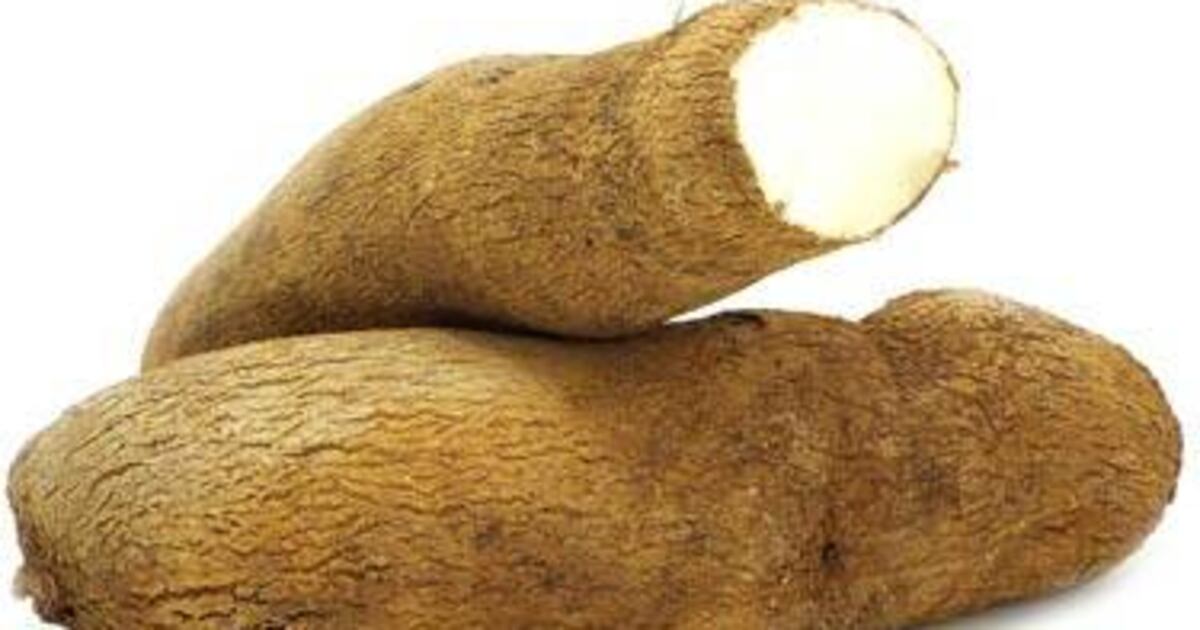 No dejan que entre el ñame de Costa Rica a Puerto Rico – El Calce