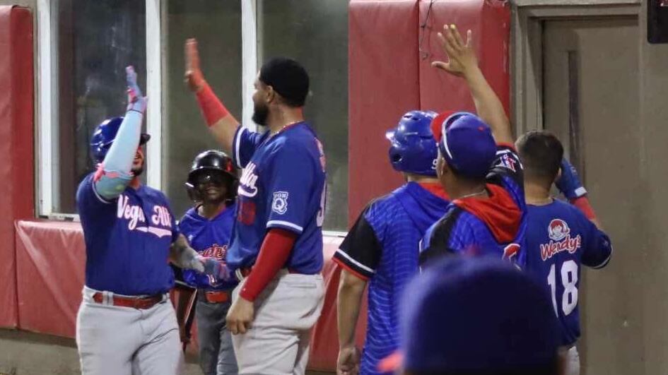 Maceteros de Vega Alta.