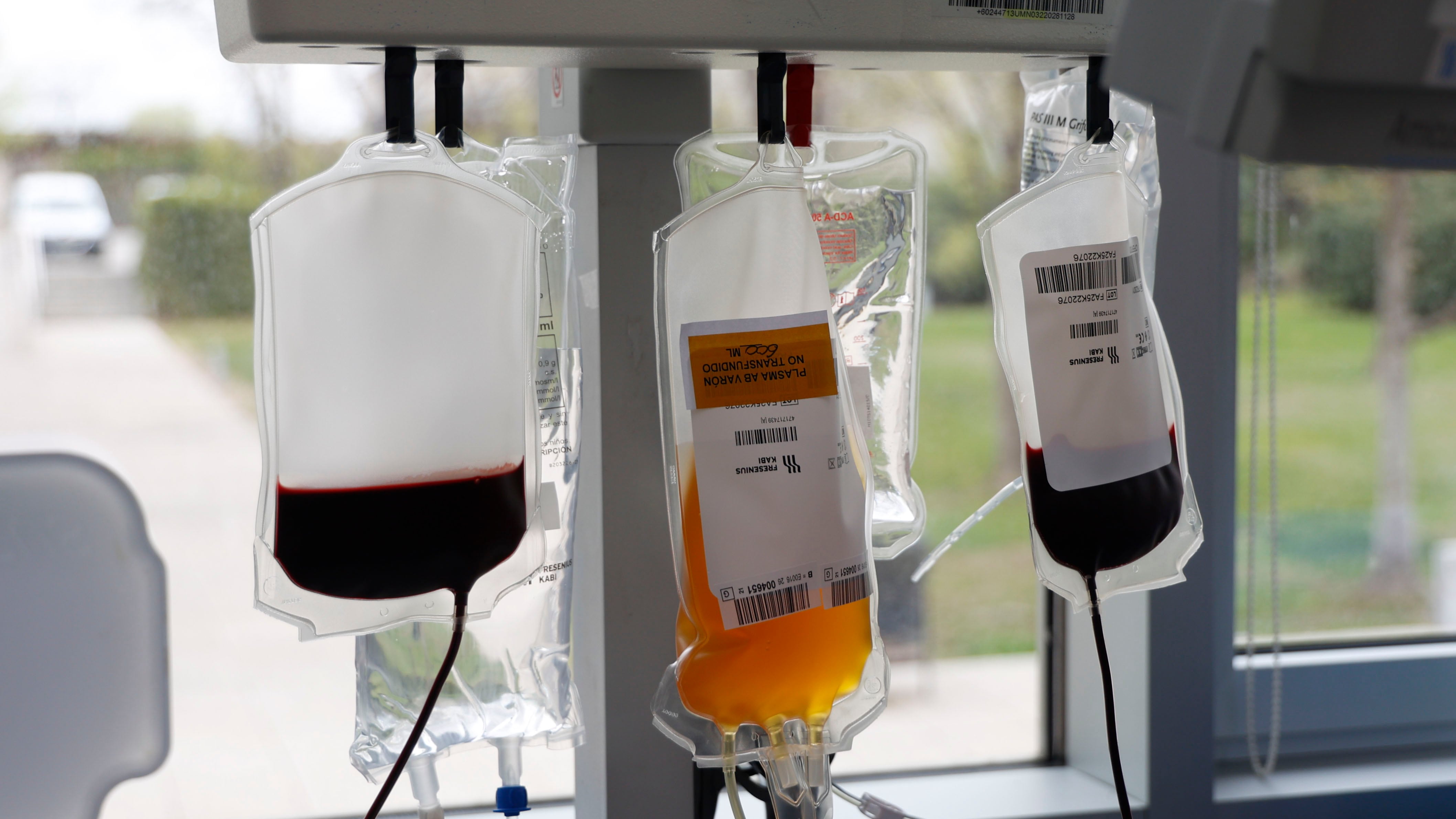 Fotografía de archivo, tomada el 20/03/2026, que muestra bolsas de sangre recogidas durante una jornada de donación en Madrid. EFE/Maria Aguilella Pardo