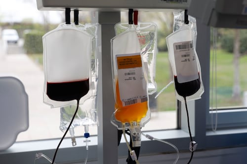 Australia permite donación de sangre a más hombres gays, bisexuales y personas trans