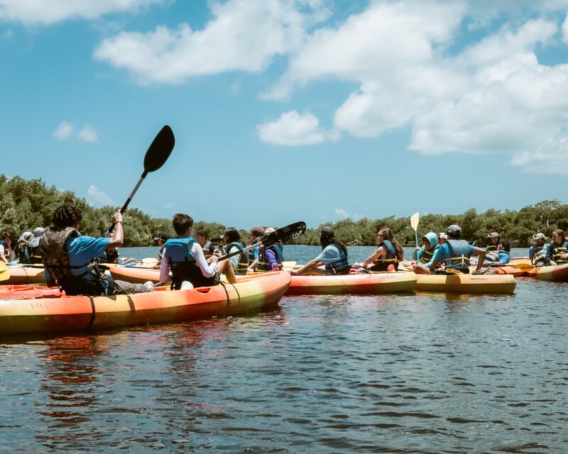 Taller de Inmersión Para La Naturaleza