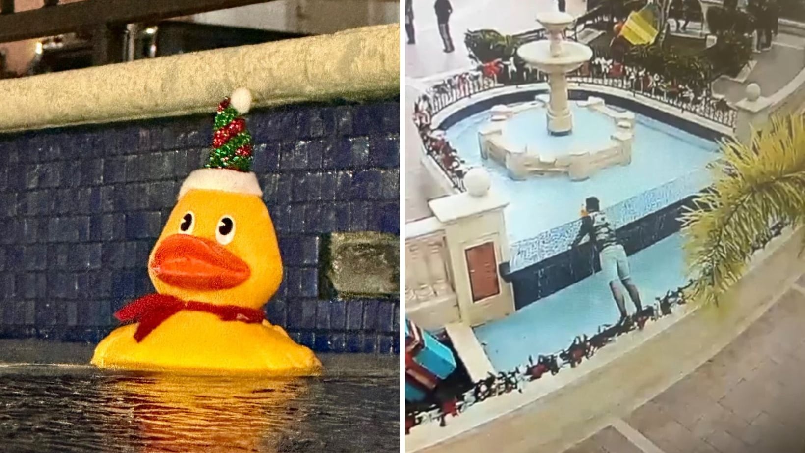 Alcalde denuncia al roba patitos de Corozal