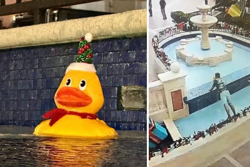 Alcalde de Corozal tira al medio al “roba patitos” de la fuente del pueblo