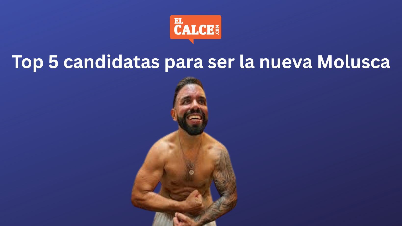 Top 5 candidatas para ser la nueva Molusca