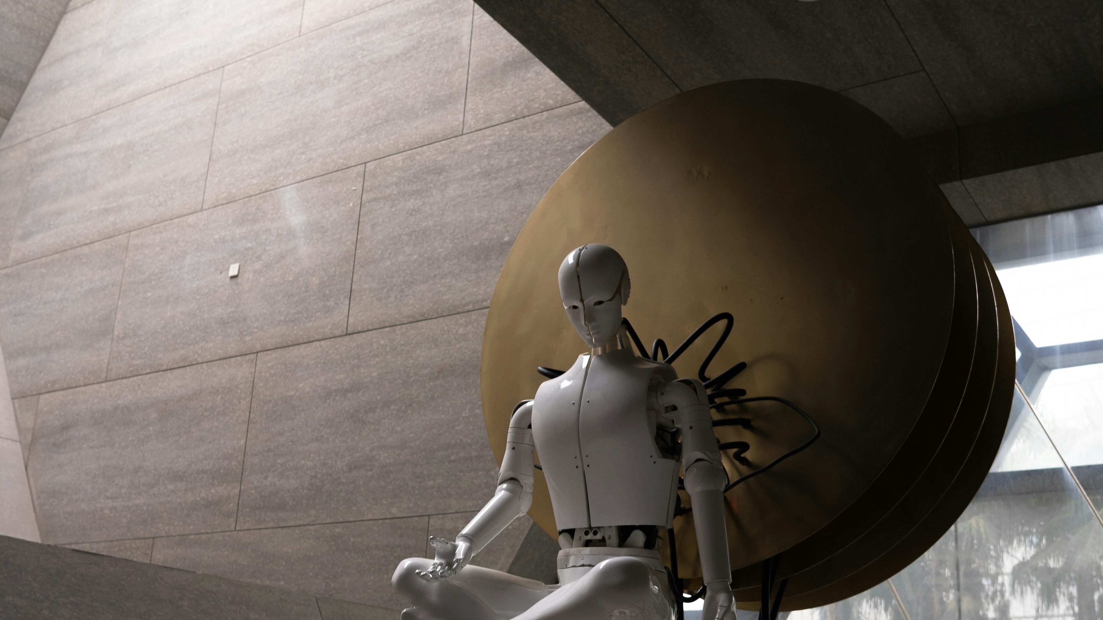 El “MetaBOC” es solo el comienzo de lo que podría ser una nueva era en la relación entre los humanos y las máquinas, y el desafío será asegurar que esta evolución tecnológica sea utilizada de manera responsable y beneficiosa para toda la sociedad.