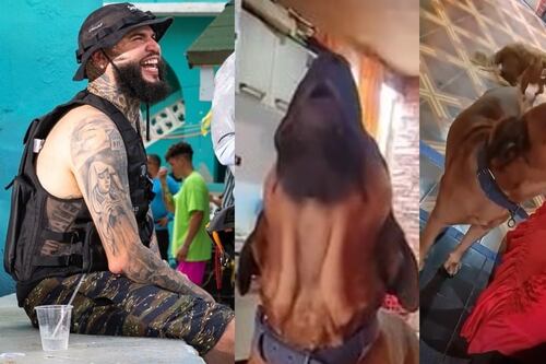 Otro fan: Perro canta aullando canción de Farruko