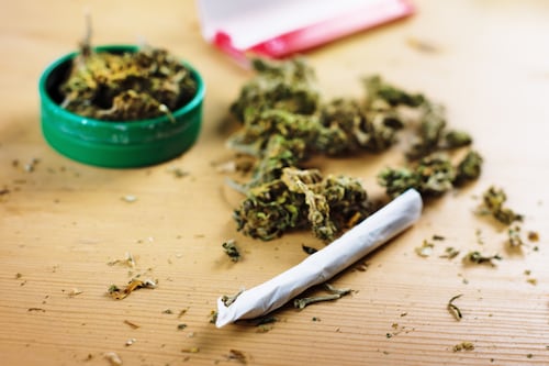 Consumo de marihuana puede afectar al rendimiento de estudiantes
