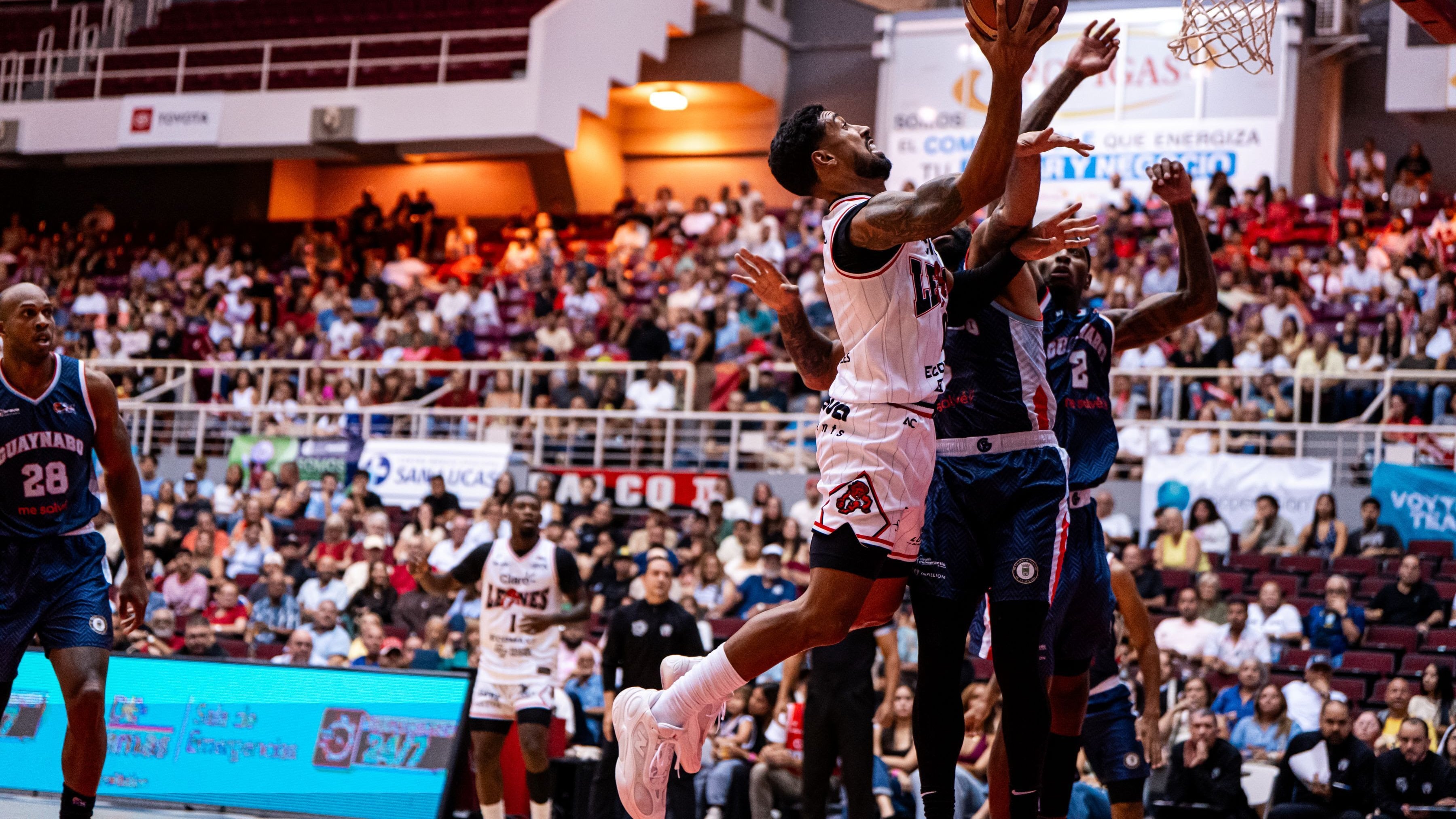 Leones de Ponce