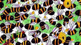 Desafío viral: ¿Puedes encontrar al intruso en esta imagen de abejas?